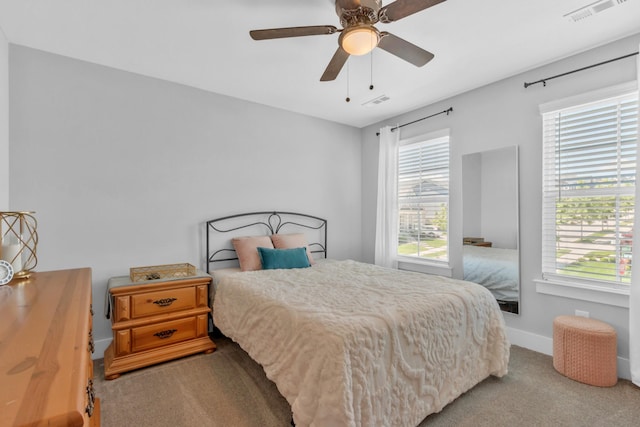 779 Newcomb St, Franklin, TN 37064 - bedroom with carpet flooring, multiple windows, and baseboards