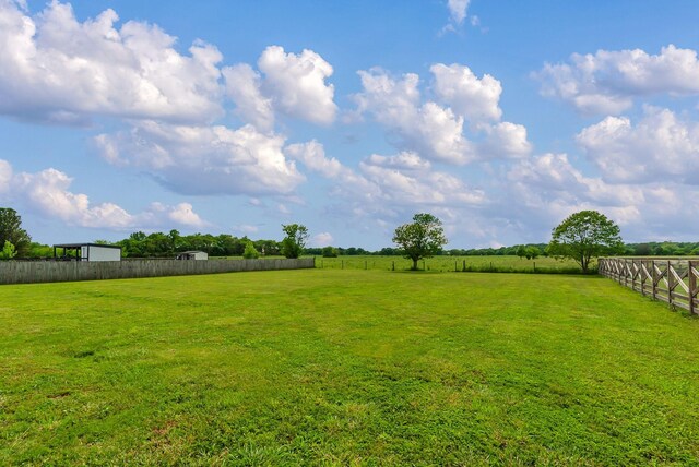 1967 Overland Dr, Chapel Hill, TN 37034 - view of yard with a view of rural / pastoral area