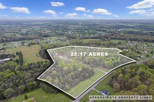 232 Paragon Dr, Bell Buckle, TN 37020 - photo 2