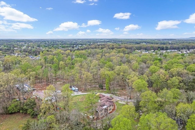 232 Paragon Dr, Bell Buckle, TN 37020 - photo 18