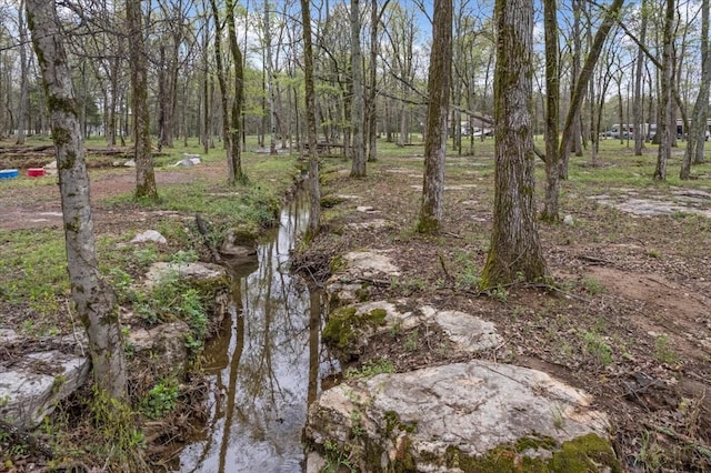 232 Paragon Dr, Bell Buckle, TN 37020 - photo 1