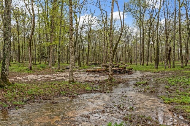 232 Paragon Dr, Bell Buckle, TN 37020 - photo 21