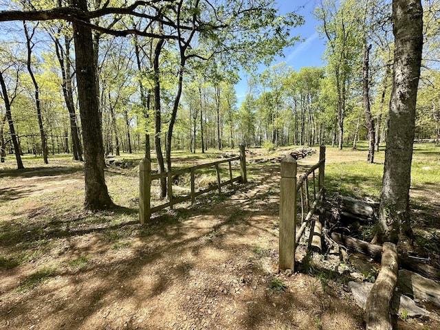 232 Paragon Dr, Bell Buckle, TN 37020 - photo 23