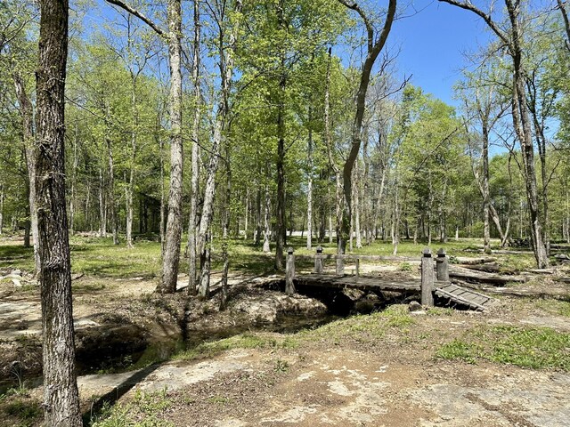 232 Paragon Dr, Bell Buckle, TN 37020 - photo 22