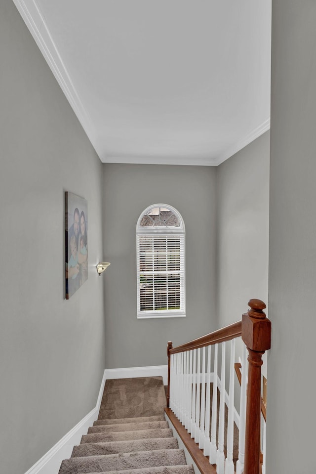 3061 Oxford Glen Dr, Franklin, TN 37067 - photo 44