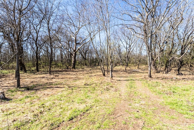 view of local wilderness