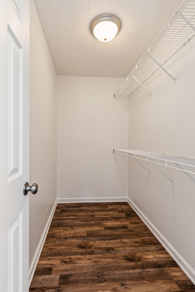spacious closet with dark wood-style floors