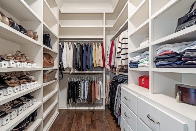700 Pendragon Ct, Franklin, TN 37067 - spacious closet featuring dark wood-type flooring