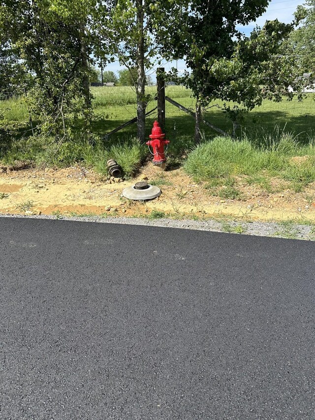 0 Short Mtn, Smithville, TN 37166 - photo 3