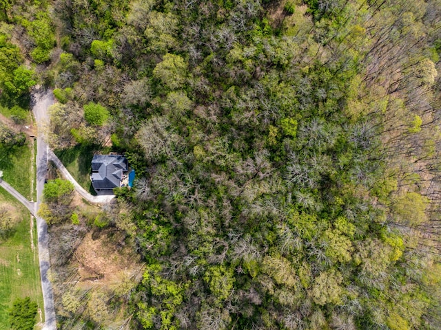 drone / aerial view