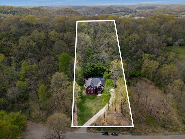 bird's eye view with a forest view