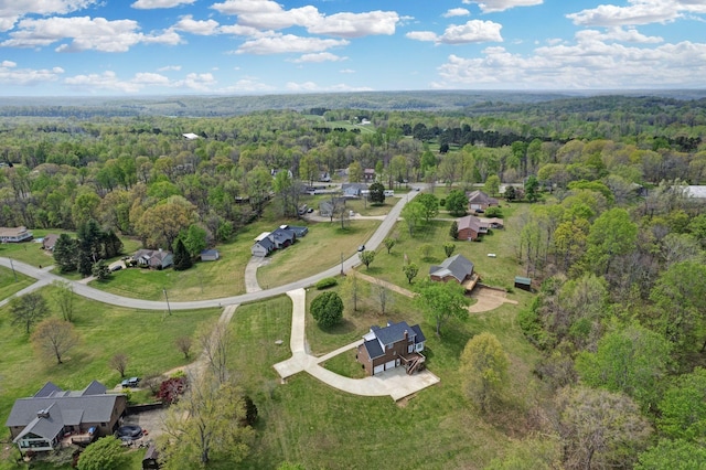 1719 Wynnewood Dr, Chapmansboro, TN 37035 - aerial view with a wooded view