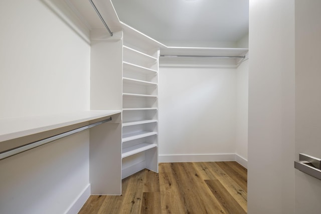 walk in closet featuring light wood-style flooring
