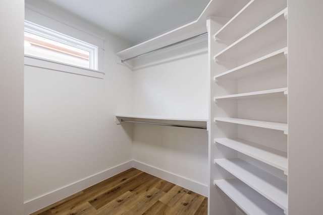 spacious closet featuring wood finished floors
