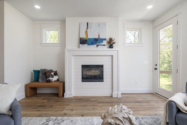 living room with a wealth of natural light, a glass covered fireplace, and wood finished floors