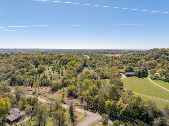 0 Goshentown Rd, Hendersonville, TN 37075 - photo 4