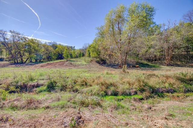0 Goshentown Rd, Hendersonville, TN 37075 - photo 14