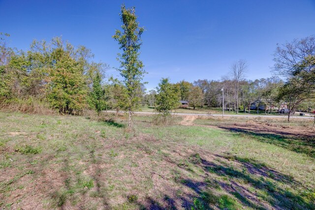 0 Goshentown Rd, Hendersonville, TN 37075 - photo 19