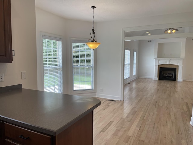 265 Gray Hawk Trl, Clarksville, TN 37043 - interior space with baseboards, a wealth of natural light, light wood-style flooring, and a fireplace