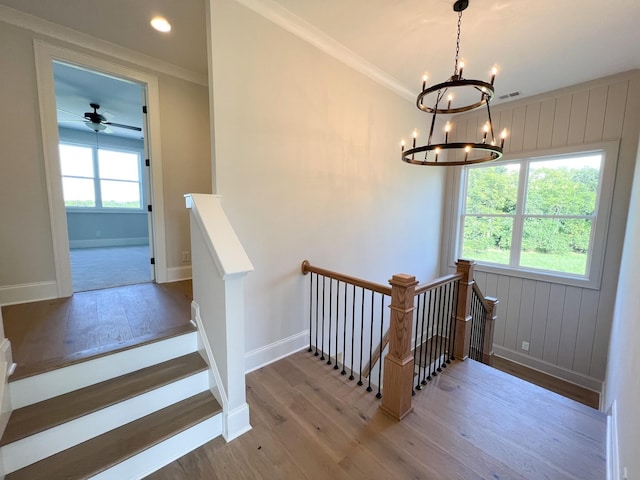 stairs featuring ceiling fan with notable chandelier, ornamental molding, visible vents, wood finished floors, and baseboards
