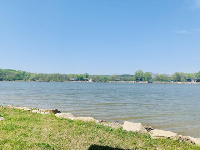 1189 River Front Dr, Clifton, TN 38425