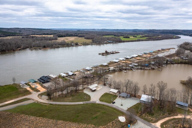 1189 River Front Dr, Clifton, TN 38425