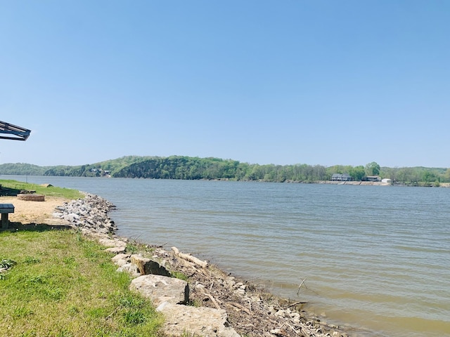 1189 River Front Dr, Clifton, TN 38425