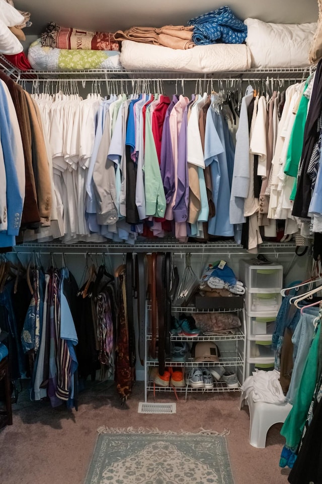 4769 Ellen Cir, Cookeville, TN 38501 - spacious closet with carpet
