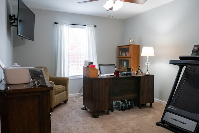 4769 Ellen Cir, Cookeville, TN 38501 - office space with a wealth of natural light, ceiling fan, carpet, and baseboards