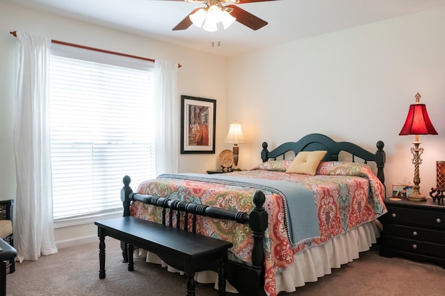 4769 Ellen Cir, Cookeville, TN 38501 - bedroom featuring ceiling fan, multiple windows, and carpet flooring