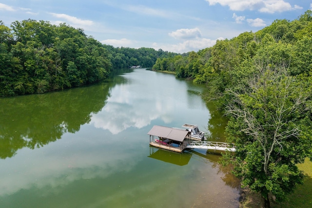 88 Hollingsworth Slough Rd, Doyle, TN 38559 - photo 42