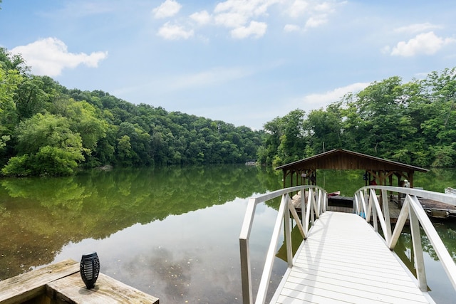88 Hollingsworth Slough Rd, Doyle, TN 38559 - photo 45