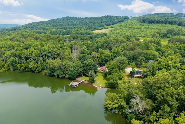 88 Hollingsworth Slough Rd, Doyle, TN 38559 - photo 40