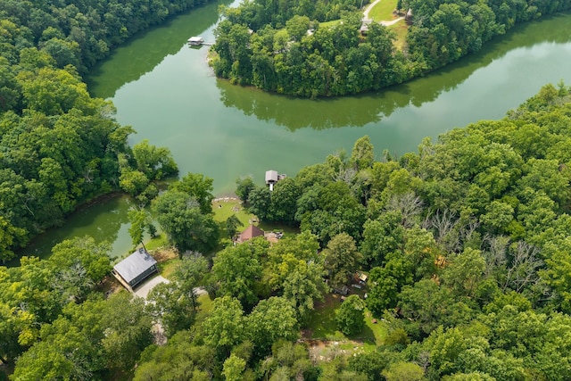 88 Hollingsworth Slough Rd, Doyle, TN 38559 - photo 36