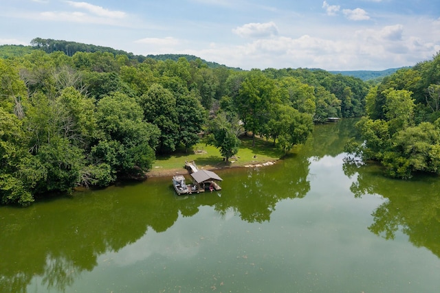 88 Hollingsworth Slough Rd, Doyle, TN 38559 - photo 41