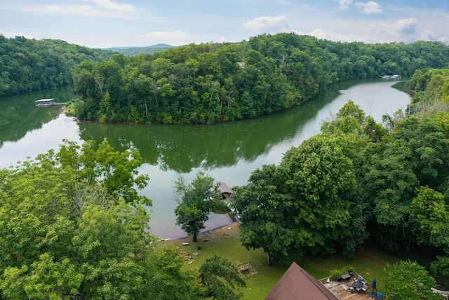 88 Hollingsworth Slough Rd, Doyle, TN 38559 - photo 47