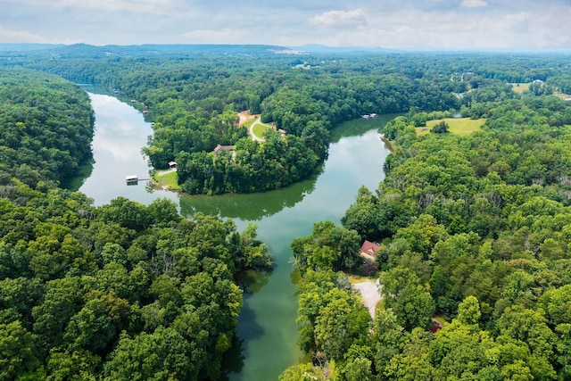 88 Hollingsworth Slough Rd, Doyle, TN 38559 - photo 37