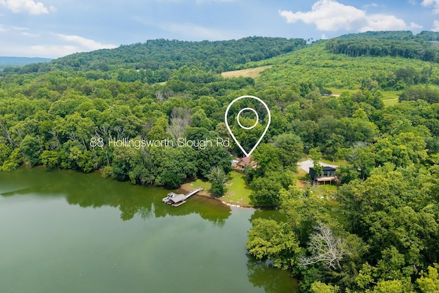 88 Hollingsworth Slough Rd, Doyle, TN 38559 - photo 3