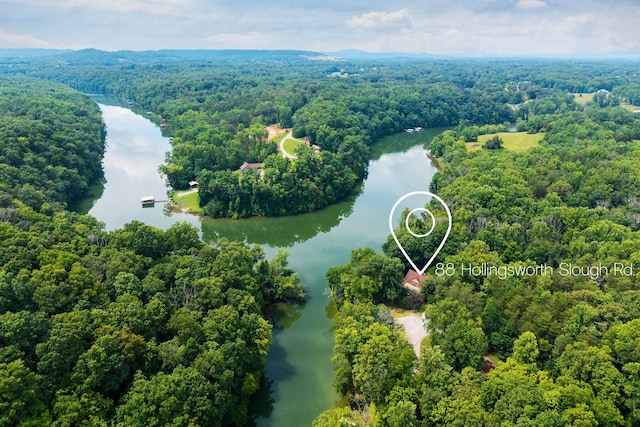 88 Hollingsworth Slough Rd, Doyle, TN 38559 - photo 38