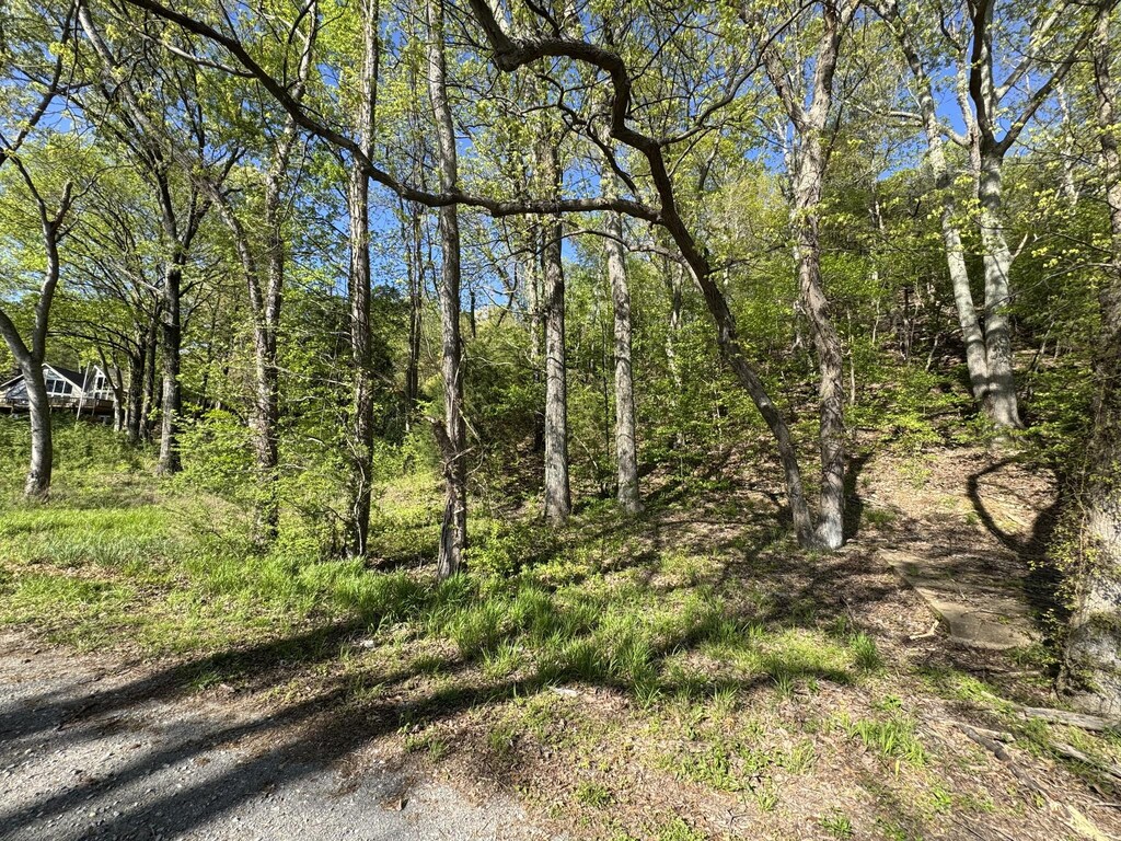 890 Lakefront Dr, Waverly, TN 37185
