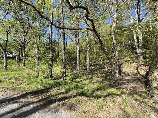 890 Lakefront Dr, Waverly, TN 37185