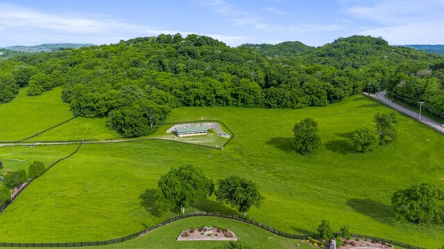 6516 Brandon Park Way, Franklin, TN 37064 - aerial view of a forest