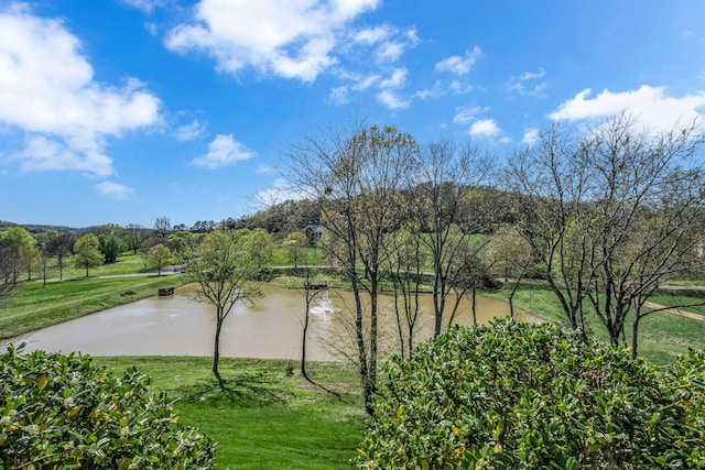 328 White Swans Xing, Brentwood, TN 37027 - view of water feature