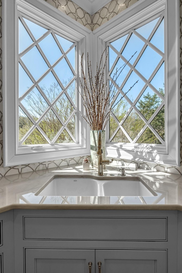 328 White Swans Xing, Brentwood, TN 37027 - interior details with gray cabinets and light countertops