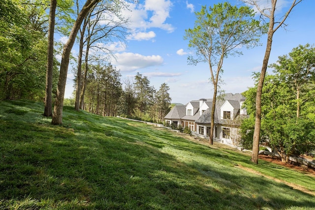 328 White Swans Xing, Brentwood, TN 37027 - view of yard