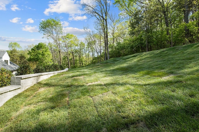 328 White Swans Xing, Brentwood, TN 37027 - view of yard