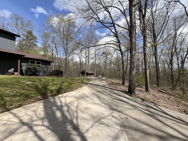 view of road with concrete driveway