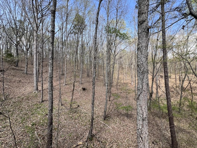 view of local wilderness