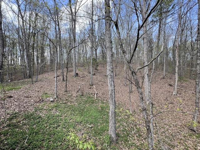 view of landscape