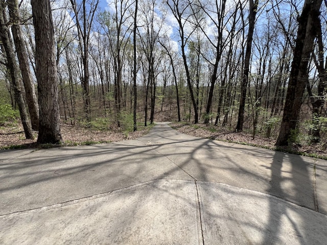 view of road with a wooded view
